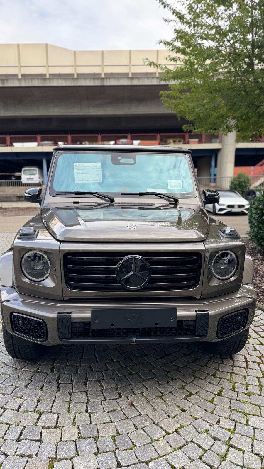 Mercedes-Benz G 450 d (III)