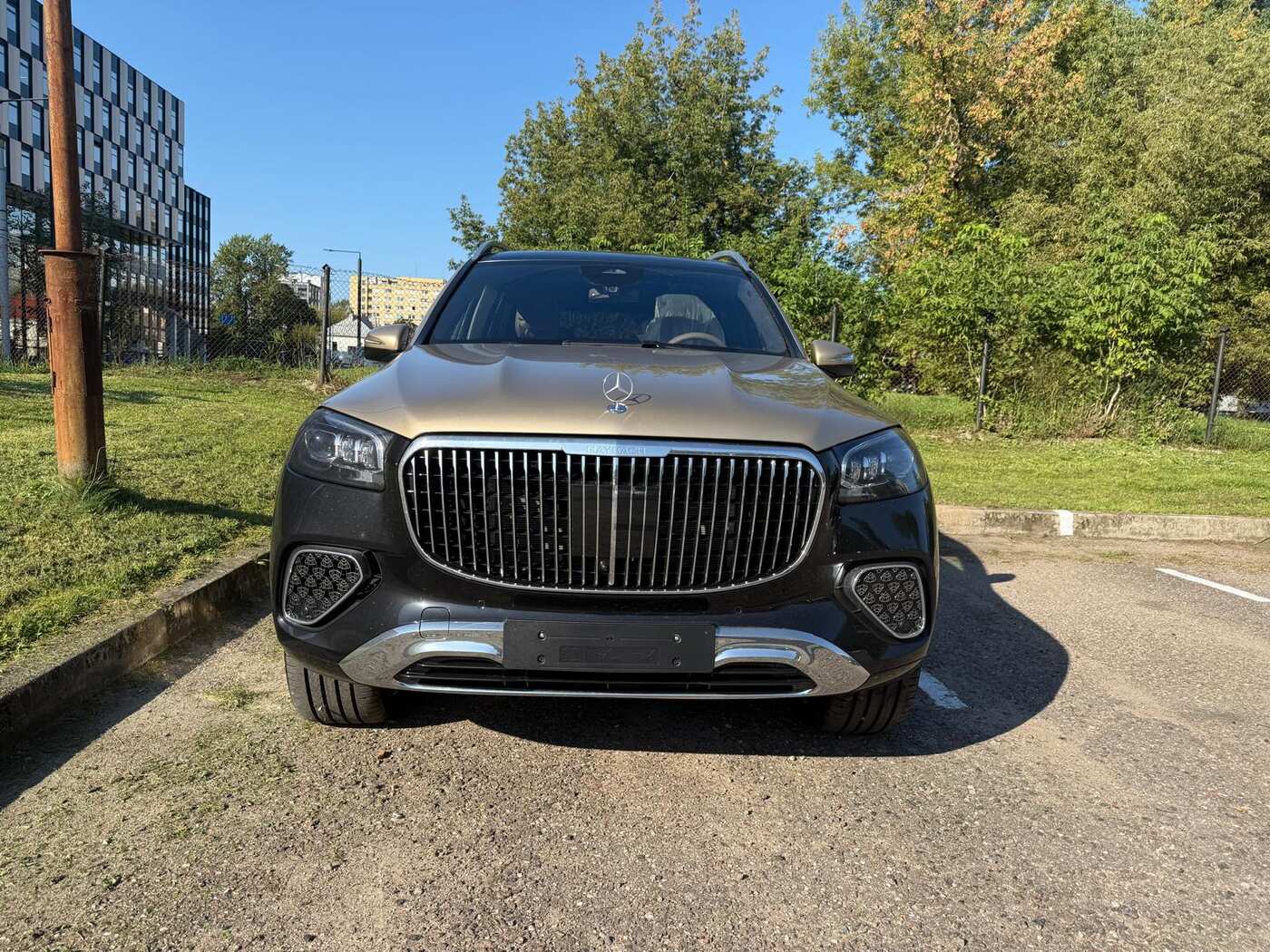 Mercedes-Benz Mercedes-Maybach GLS 600 4MATIC (II Рестайлинг)